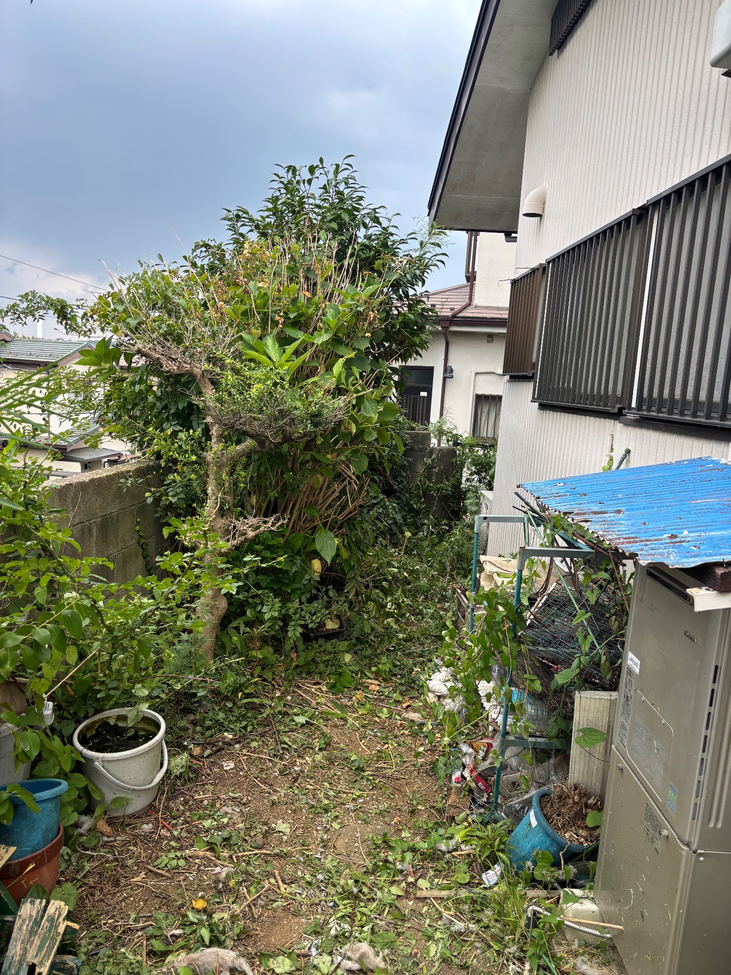 剪定・除草・防草シート施行の作業前