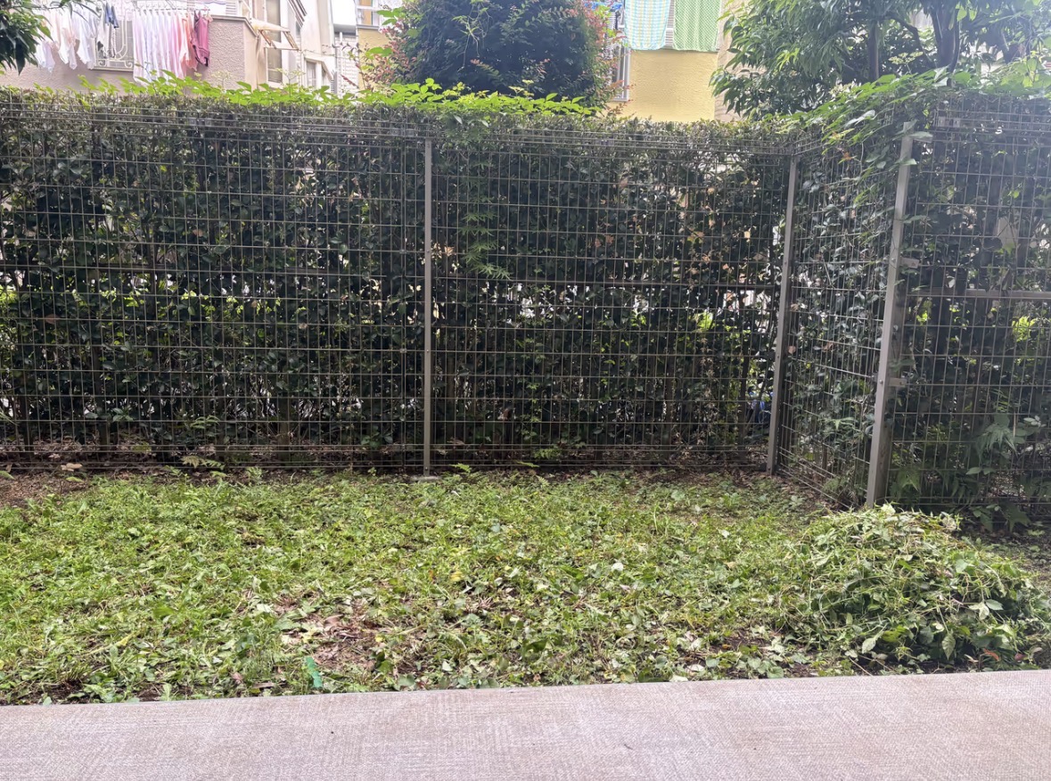 専用庭の草刈りの作業前